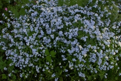 viestint%c3%a408-076