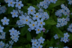 viestint%c3%a408-077